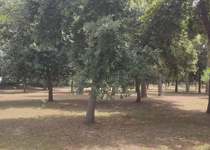 Chiappini Apartament